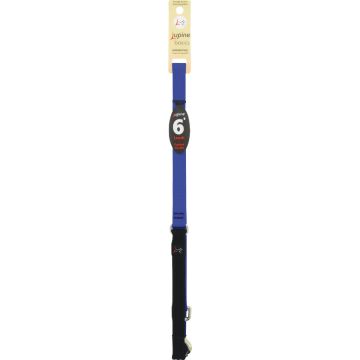 Lupine 3/4 In. x 6 Ft. Traditional Solid Blue Dog Leash