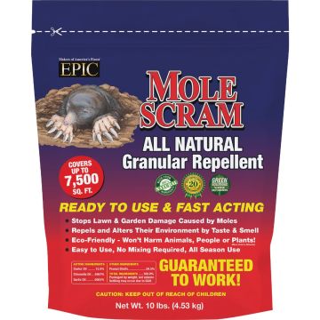 Image of the product