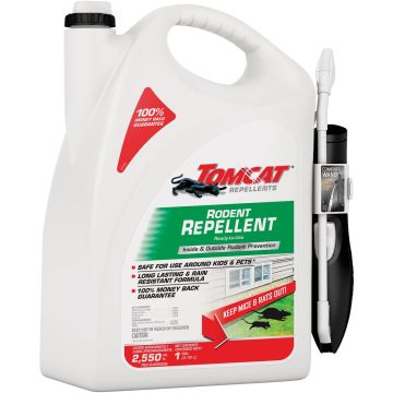Image of the product