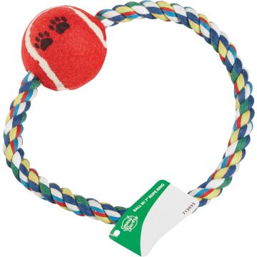 Image of the product