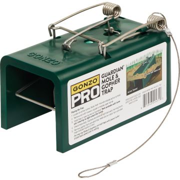 Image of the product