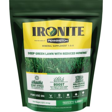 Ironite 3 Lb. 1000 Sq. Ft. Coverage Soluble Iron
