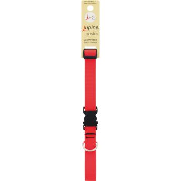 Lupine 3/4 In. Traditional Solid Blaze Orange 13 to 22 In.  Adjustable Collar