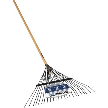 Image of the product