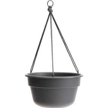 Bloem Dura Cotta 12 In. Plastic Charcoal Hanging Plant Basket