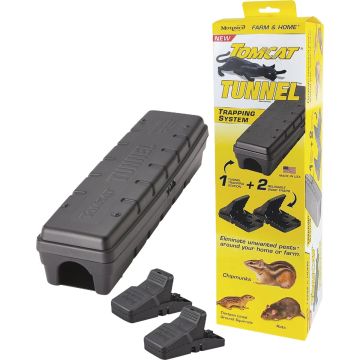 Image of the product