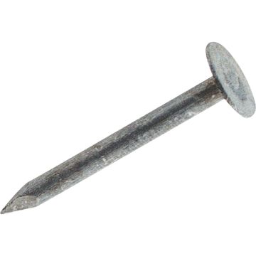 Do it Best 2-1/2 In. 11 ga Electrogalvanized Roofing Nails (5700 Ct., 50 Lb.)