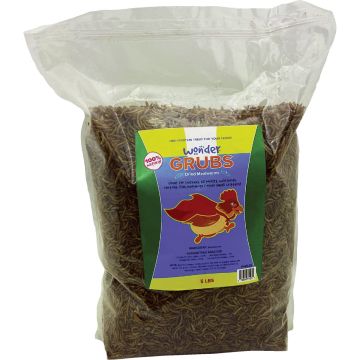 Image of the product