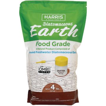 Image of the product