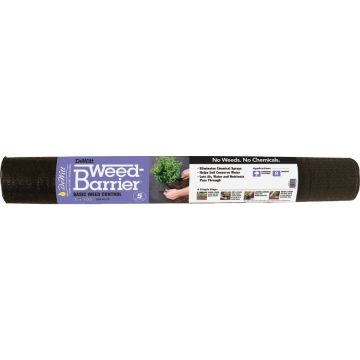 Image of the product