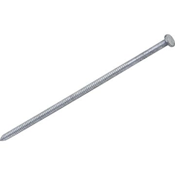 Do it Best 6 In. x 5 ga x 60d Hot Galvanized Ring Shank Pole Barn Nails (510 Ct., 30 Lb.)