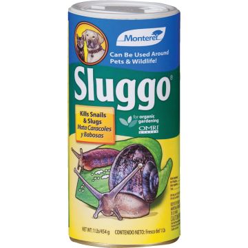 Image of the product