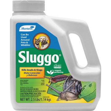 Image of the product