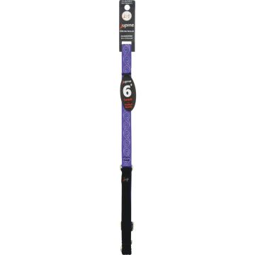 Lupine 3/4 In. x 6 Ft. Woven Pattern Jellyroll Dog Leash