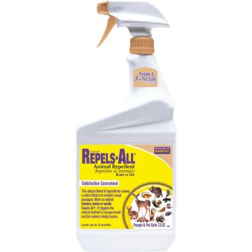 Image of the product
