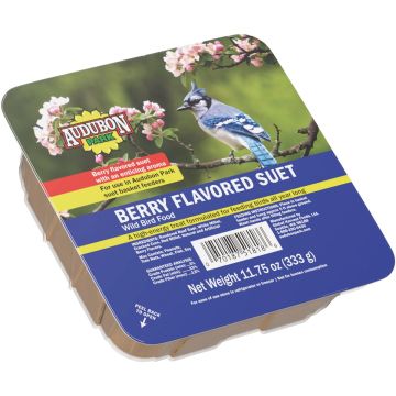 Audubon Park 11.75 Oz. Berry Suet