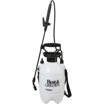 Image of the product