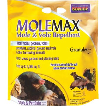 Image of the product