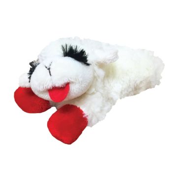 Image of the product