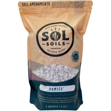 Sol Soils 2 Qt. Pumice
