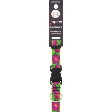 Lupine 3/4 In.  Woven Pattern Petunias  9 In. to 14 In.  Adjustable Collar