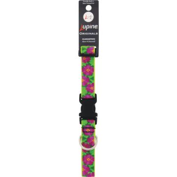 Lupine 1 In. Woven Pattern Petunias  12 In. to 20 In.  Adjustable Collar