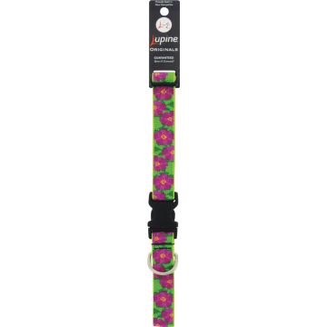 Lupine 1 In. Woven Pattern Petunias  16 In. to 28 In.  Adjustable Collar