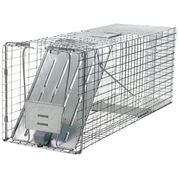 Image of the product