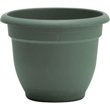 Bloem Ariana 10 In. Basil Planter