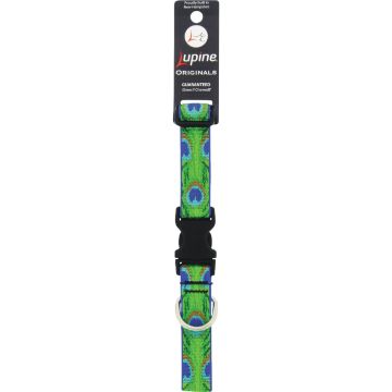 Lupine 1 In. Woven Pattern Tail Feather 12 In. to 20 In.  Adjustable Collar