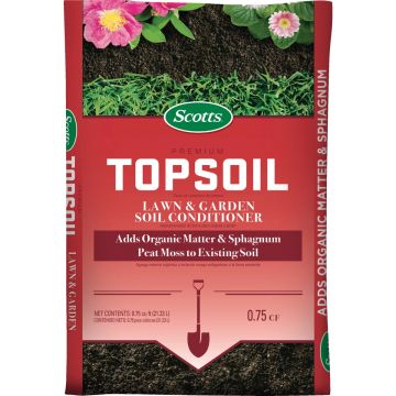Image of the product
