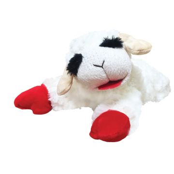 Image of the product