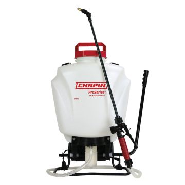 Image of the product