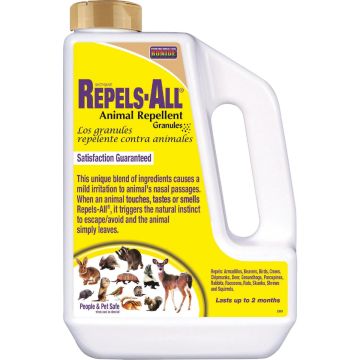 Image of the product