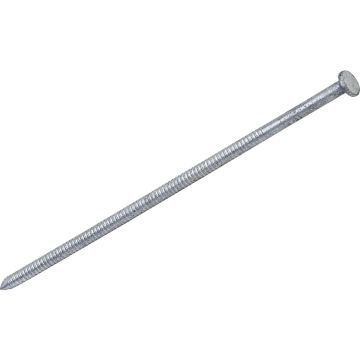 Do it Best 3-1/2 In. x 9 ga x 16d Hot Galvanized Ring Shank Pole Barn Nails (1710 Ct., 30 Lb.)