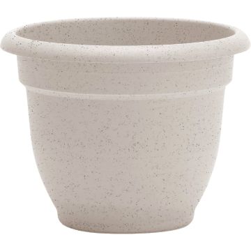Bloem Ariana 12 In. Vanilla Bean Planter
