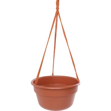 Bloem Dura Cotta 12 In. Plastic Terra Cotta Hanging Plant Basket