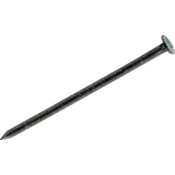 Do it Best 3-1/2 In. x 10 ga x 16d Hot Galvanized Box Nails (3550 Ct., 50 Lb.)