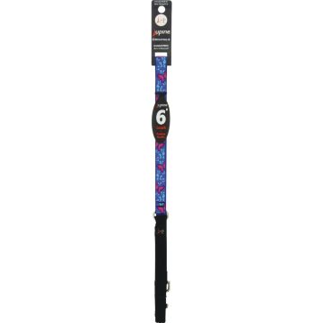 Lupine 3/4 In. x 6 Ft. Woven Pattern Social Butterfly Dog Leash