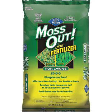 Image of the product