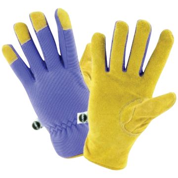 Image of the product