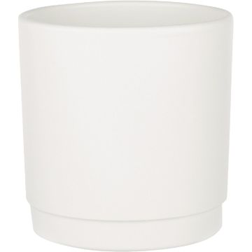 Syndicate Home and Garden 4.72 In. x 3.93 In. Vanilla Ceramic Charleston Planter