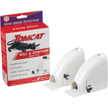 Image of the product