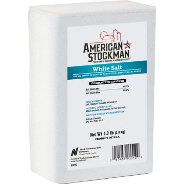Image of the product