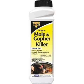 Image of the product
