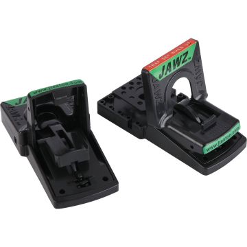 Image of the product