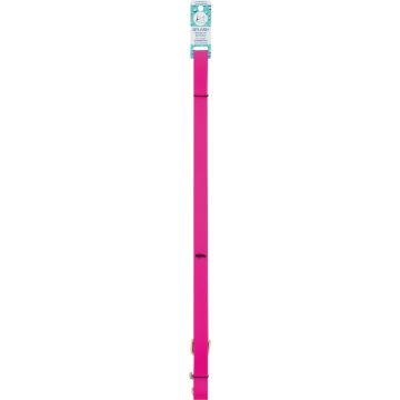 Lupine 3/4 In. x 6 Ft. Waterproof Neon Pink Dog Leash