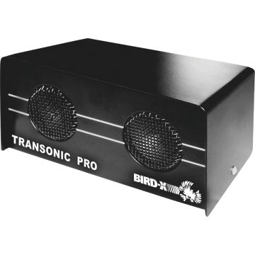 Image of the product