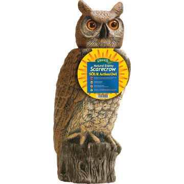 Image of the product