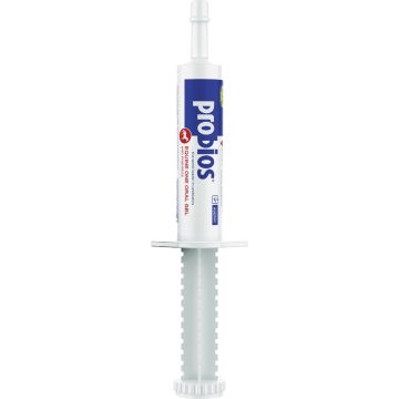 Probios 30 Gram Equine One Oral Gel Probiotic